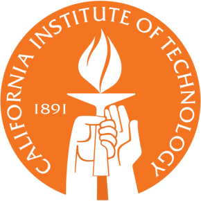 d3.jpg